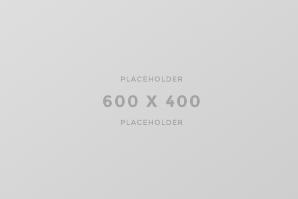 SEO NAME